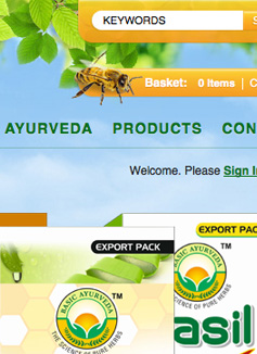 Basic Ayurveda Website